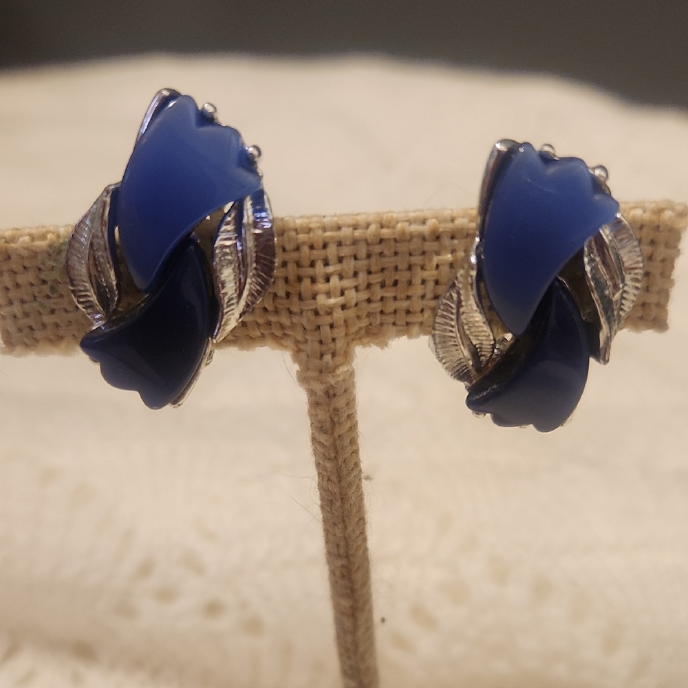 Elegant Blue Themoset and Silver Women's Earrings